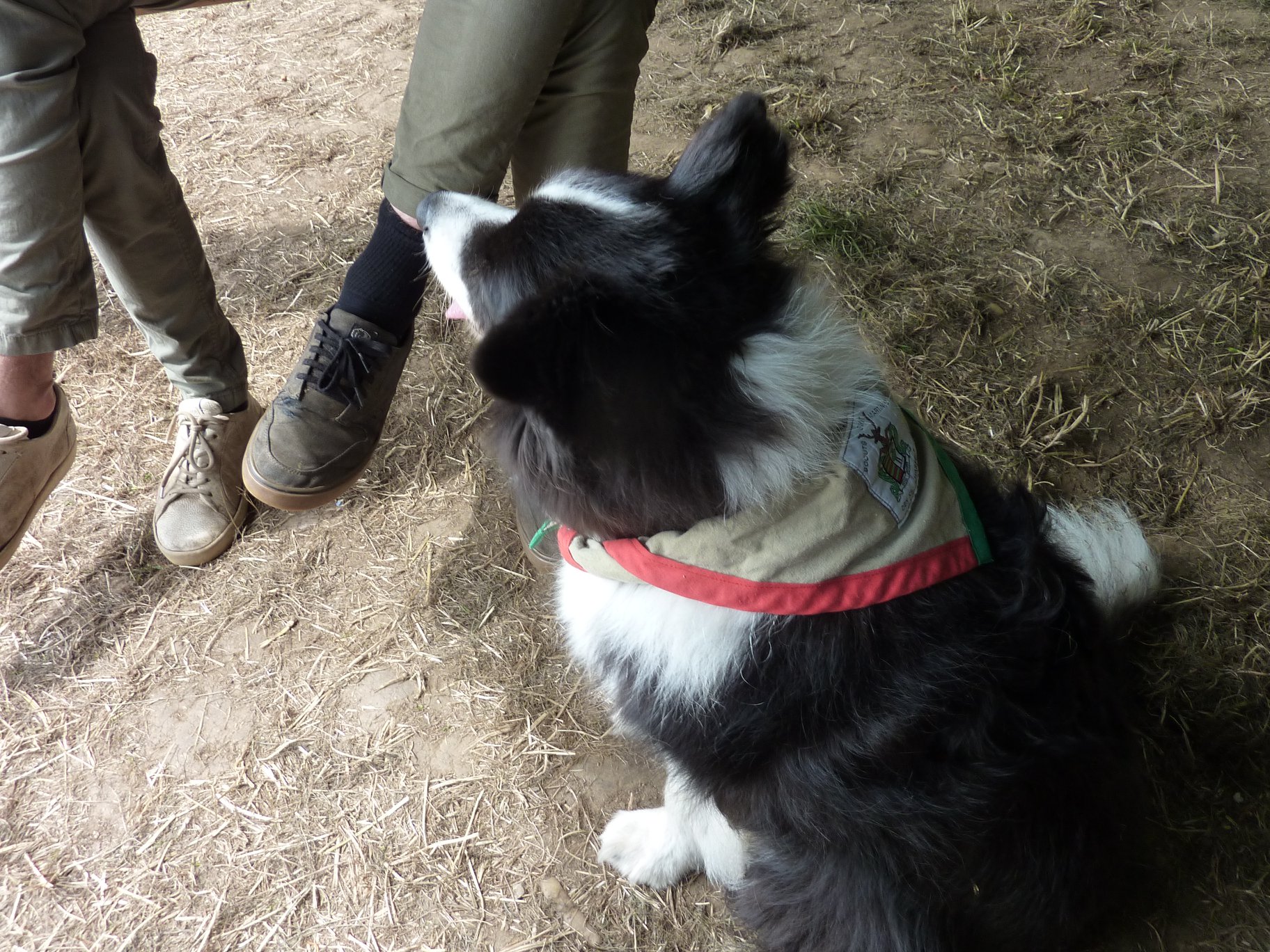 Sint-Martinus den XIIde - Kamp Losange algemeen